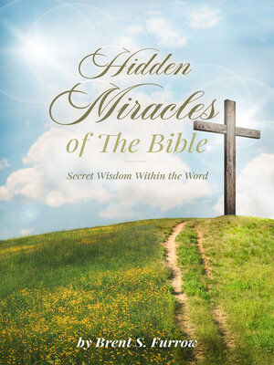 cover image of Hidden Miracles of the Bible